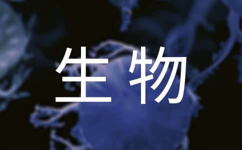 ʵĵ14ƪ