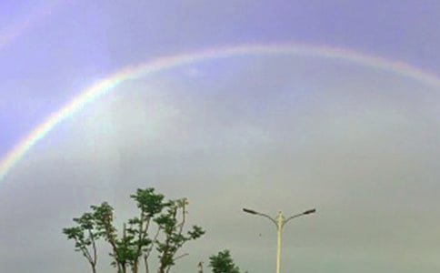 ʺŻĵ᷶ģѡ3ƪ