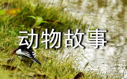Ұ¼и