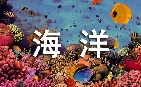 ۿۺ400