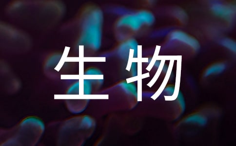 ѧϰĵ4ƪ()