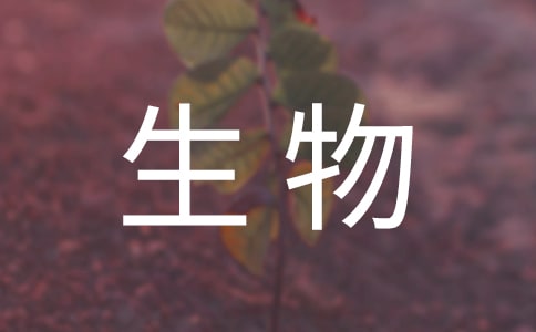 ʵĵ᷶