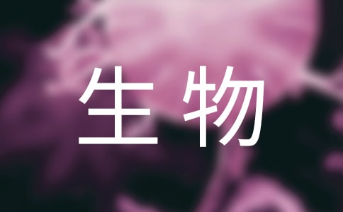 ʵĵ14ƪ