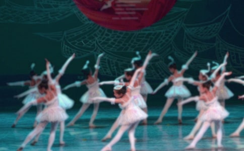 赸ѧĵ(15ƪ)