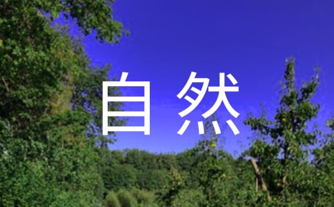 Ȼ֮Ĺۺĵ