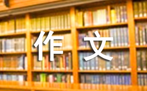ʵ8ƪ